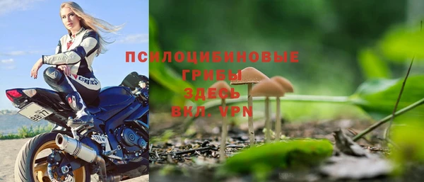эйфоретик Богородск