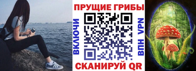 купить   Троицк  Псилоцибиновые грибы прущие грибы 