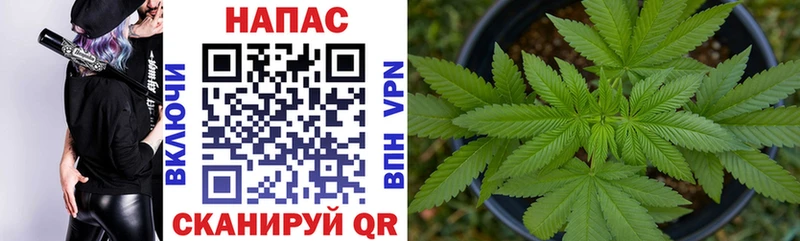 МЕГА ТОР  купить наркотики сайты  Троицк  Канабис план 